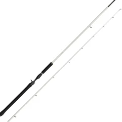 Abu Garcia Beast X Trolling Casting 902 XXH