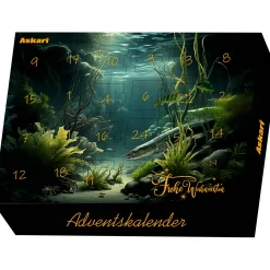 Adventskalender Allround 2025