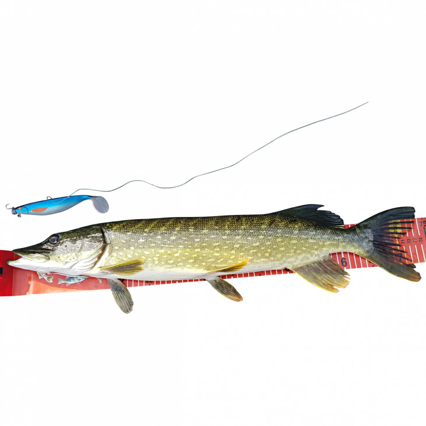 Balzer Massband (130 cm)