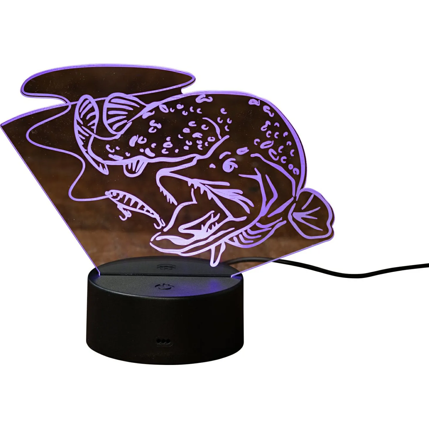 Bearstep LED Deko Hecht