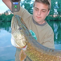 Behr Digital Waage (25 kg)