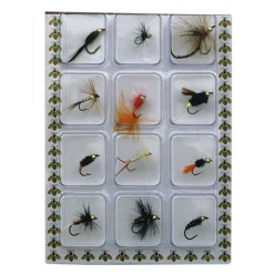 Behr Goldkopf Nymphen-Set