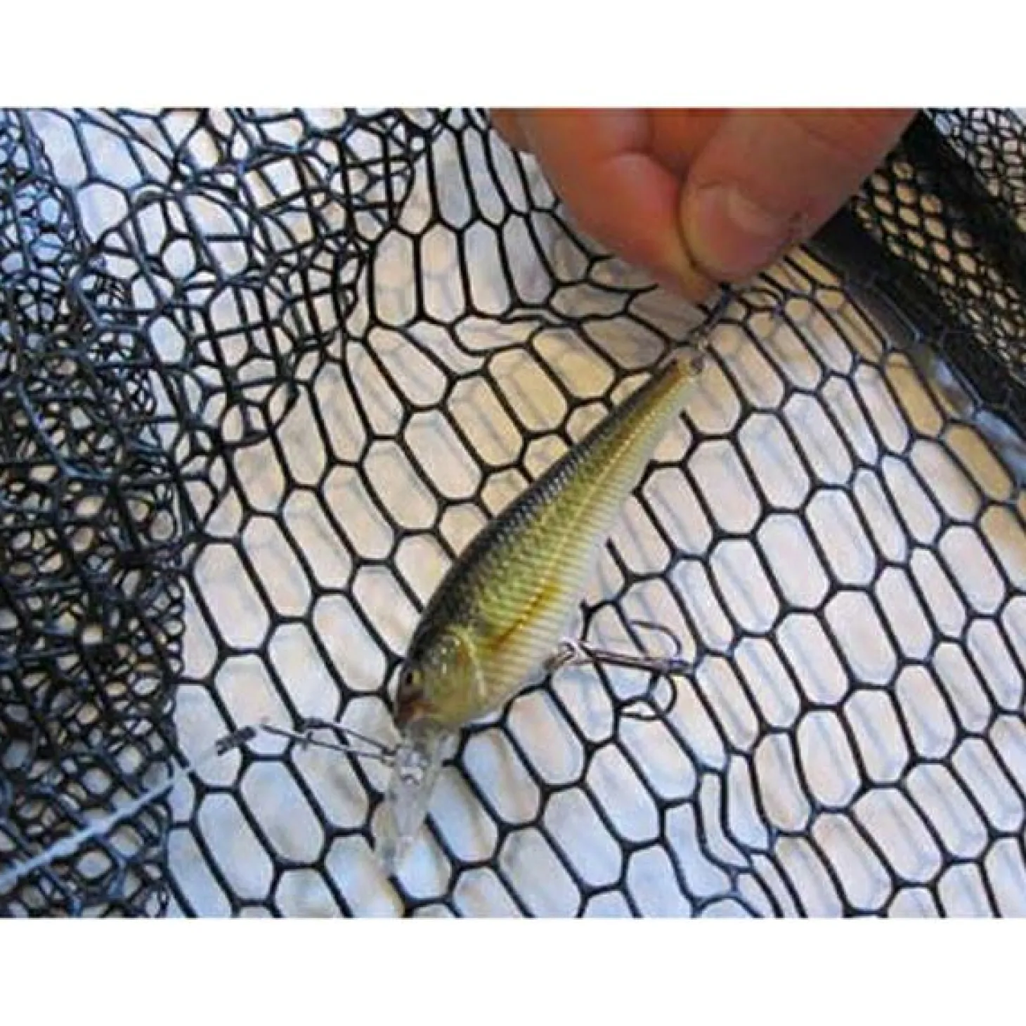 Behr Kescher Octaplus