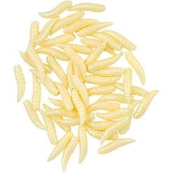 Behr Raubfischfutter Maggots (Natur)