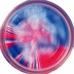 Berkley PowerBait® Glitter Trout Dough (Captain America Glitter)