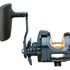 Daiwa 24 Saltiga L 15