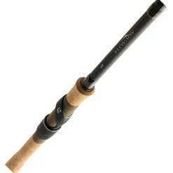 Daiwa Aqualite Power Float 420 cm 15-50 g
