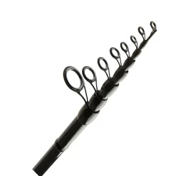 Daiwa Aqualite Tele Sensor Float 450 cm 10-35 g