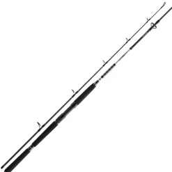 Daiwa Meeresruten BG Deep Sea Deep Sea XH 220 cm 150-300 g 30 lb
