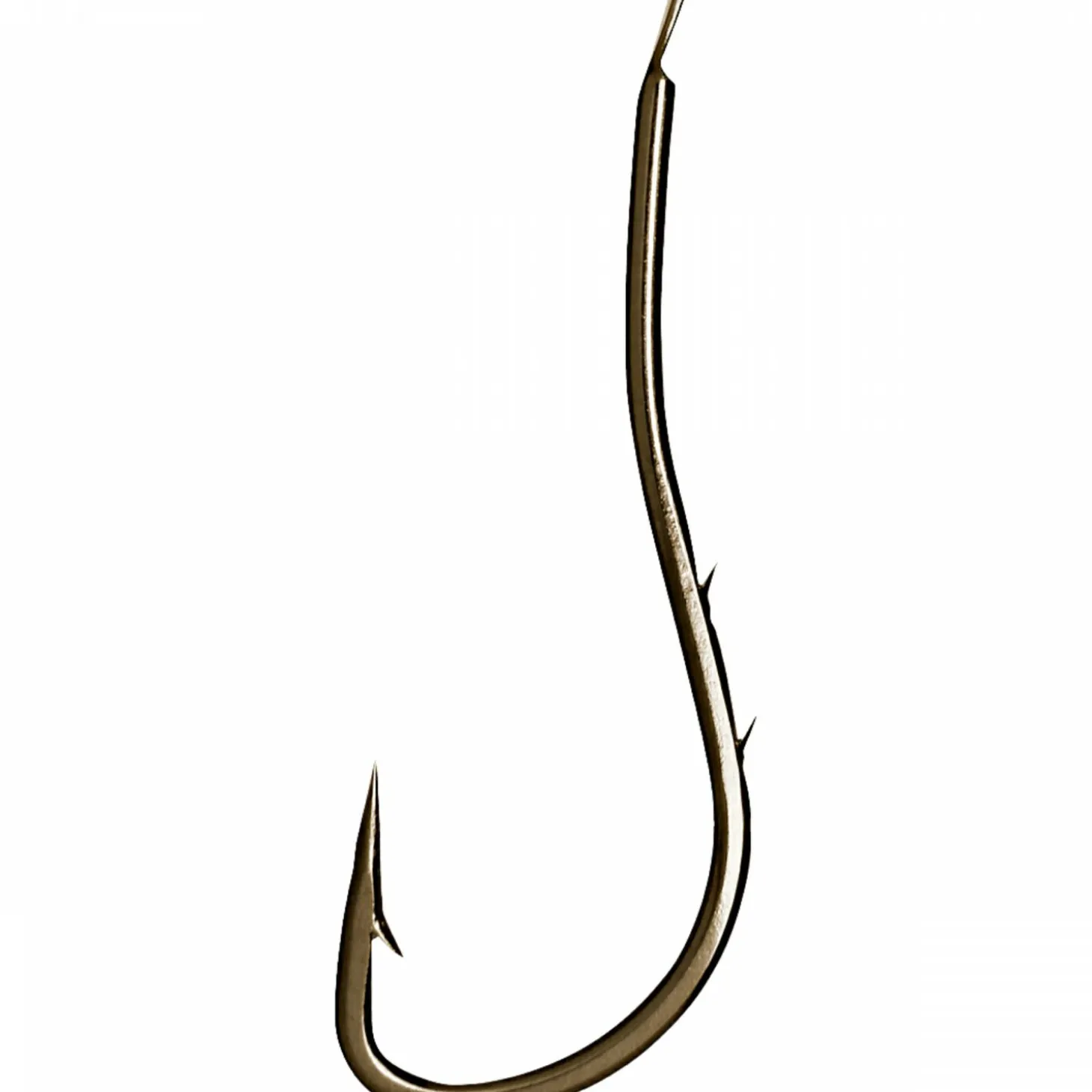 Daiwa Wurmhaken Tournament