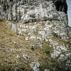 Deerhunter Pro Gamekeeper Jacke - Kurz (Realtree Timber)