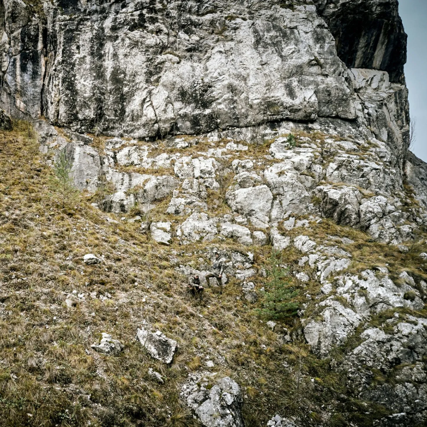 Deerhunter Pro Gamekeeper Jacke - Kurz (Realtree Timber)