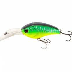 Doiyo Wild Buccaner (Fire Tiger)