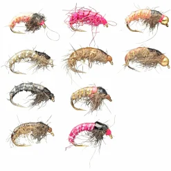 Dragon Dragon Czech Nymphen Sortiment