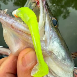 Fox Rage Scent Shad (Chartreuse Ayu)