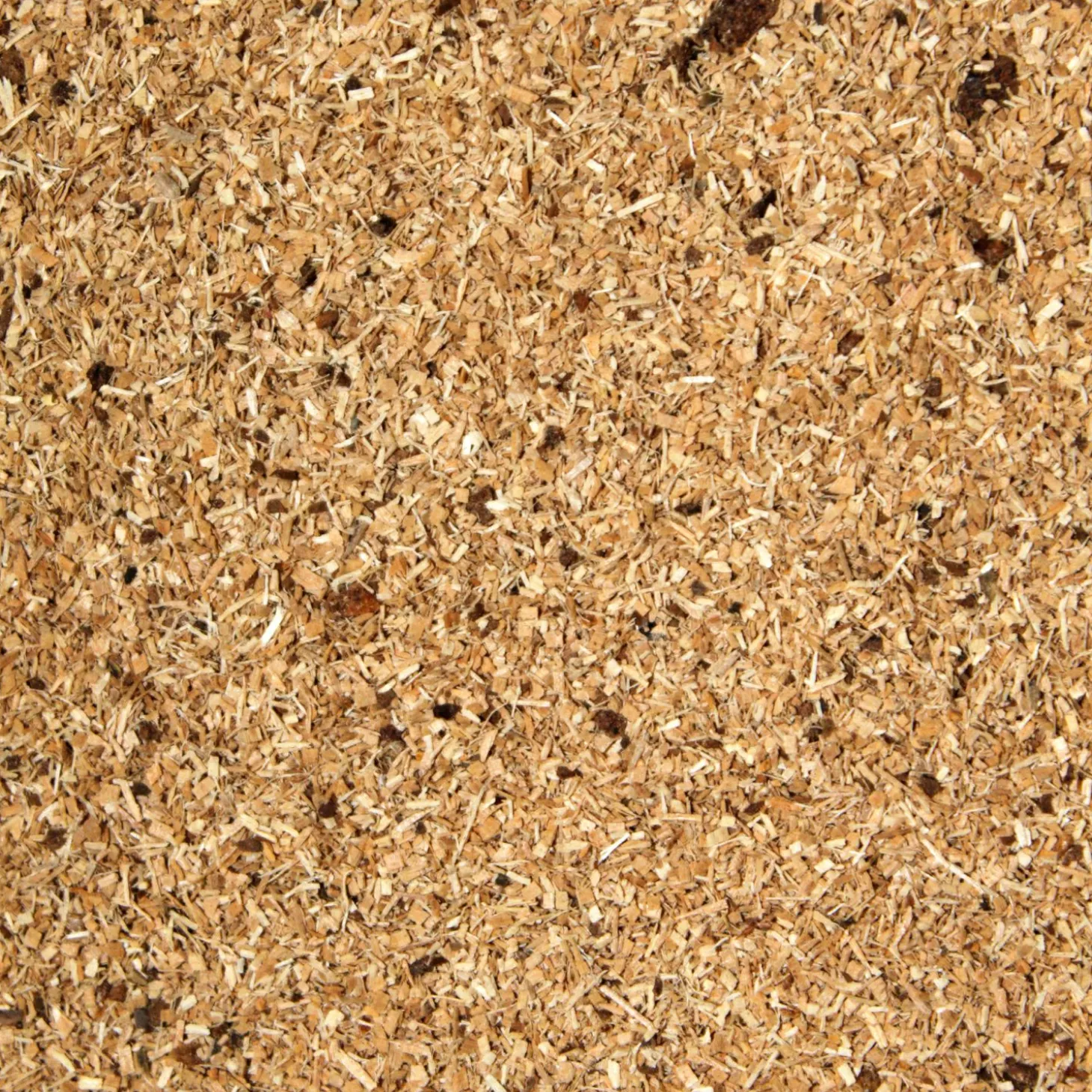 FTM Räuchermehl (Buche würzig)