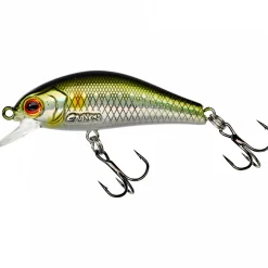 Gunki Rodan SHW (HL Ayu)