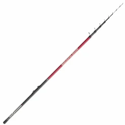 Kogha Alpha Bolognese