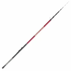 Kogha Delta Bolognese