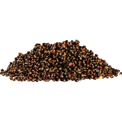 Kogha Particles Crazy Action Baits