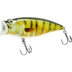 Kogha Wobbler Classy Pop Crank (Strippy Perch)