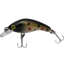 Kogha Wobbler Mini Deepdiver (Bachforelle)