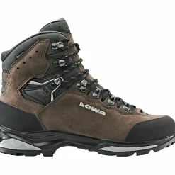 Lowa Camino EVO GTX Herren (Braun/Graphit)
