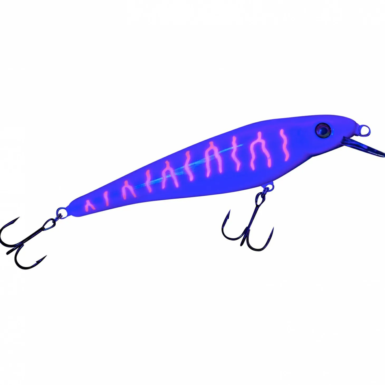 Matze Koch Hechtschrecke (Albino)