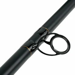 Paladin Aalmutti Titan Heavy