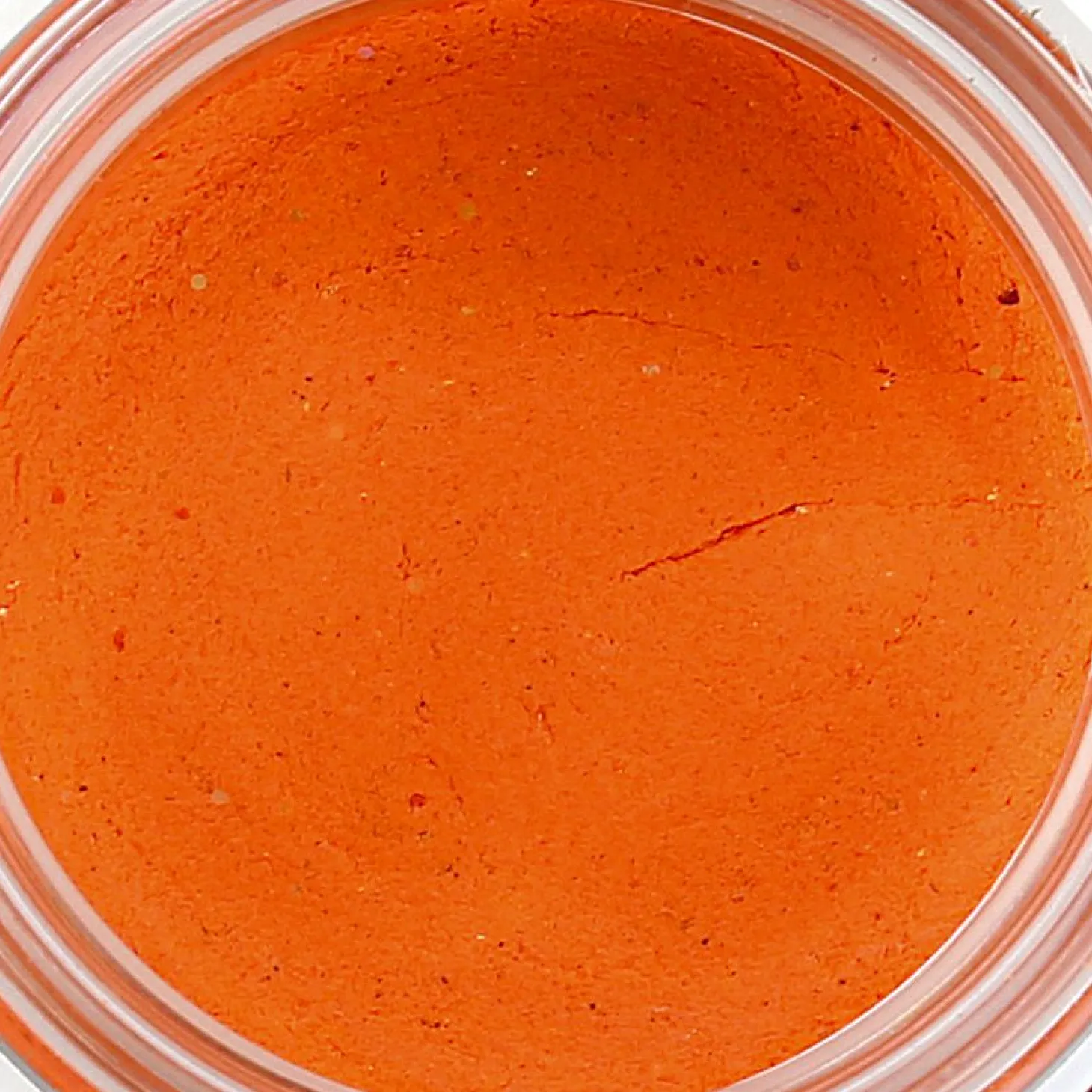 Paladin Forellenteig (Fluoorange)