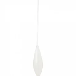 Perca Trout Sbirolino (schwimmend)