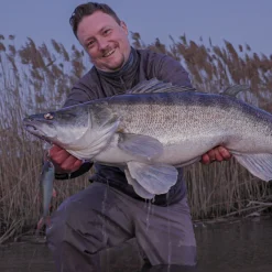 Pulz Bait Roach Skinz Set (Natural Roach/Koi/Gold Fish)