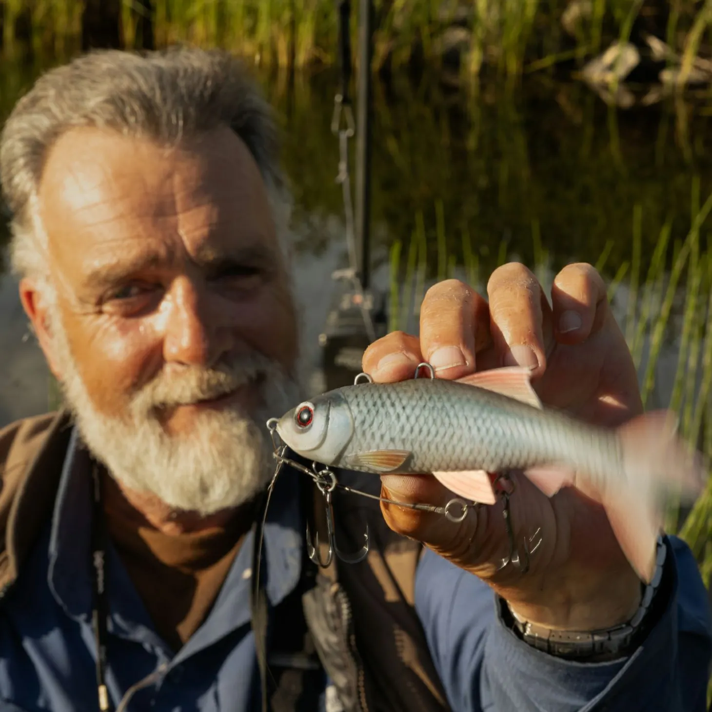 Pulz Bait Roach Skinz Set (Natural Roach/Natural Perch/Brown Trout)