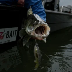 Pulz Bait Trout Skinz (Rainbow Trout)