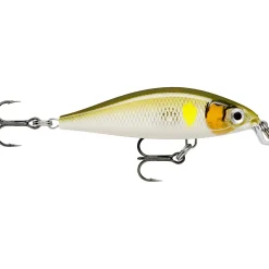 Rapala X-Light Minnow (AYU)
