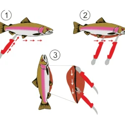 Salmo Saubermacher Messer