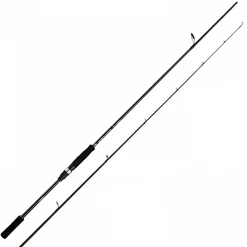 Shimano Bassterra Sea Bass Spin