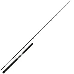 Shimano Meeresruten Aspire Boat Slim 229 cm 12-20 lb