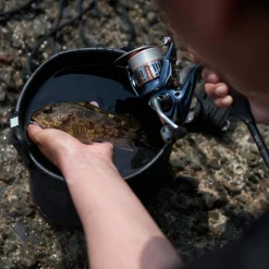 Shimano Spinnrolle Nasci FD C5000 XG