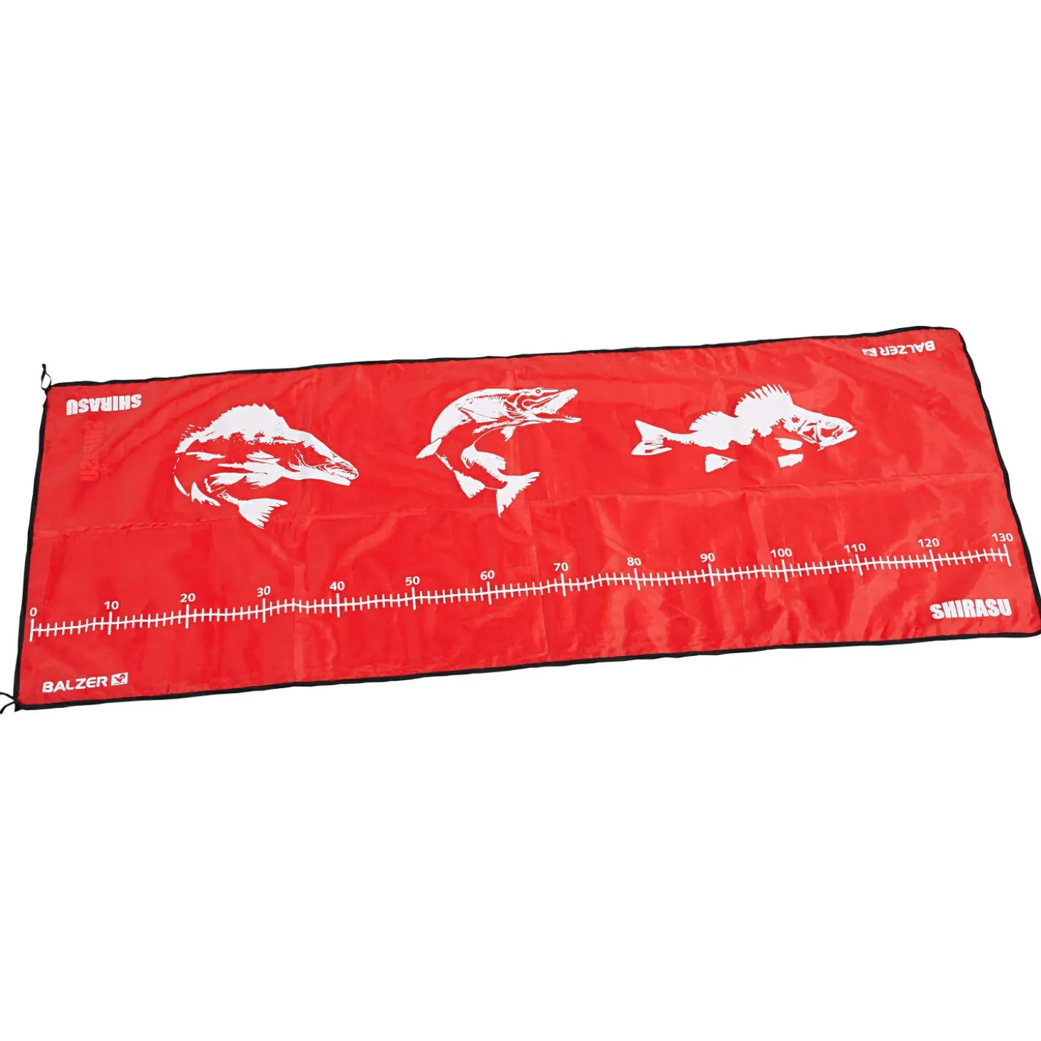 Shirasu Abhakmatte (130 cm)