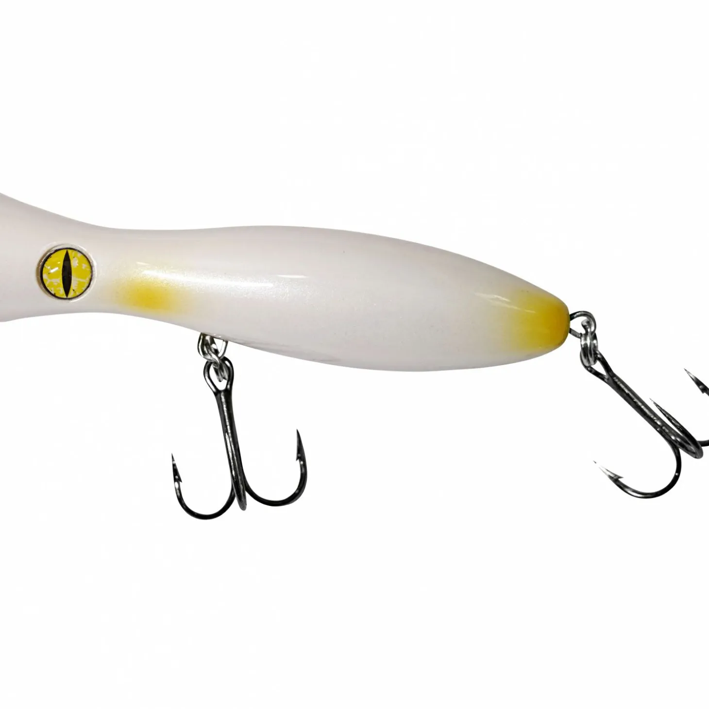 Shirasu King of Pop (Spotty)