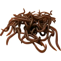 Trendex Gummiköder Artificials (Wurm)