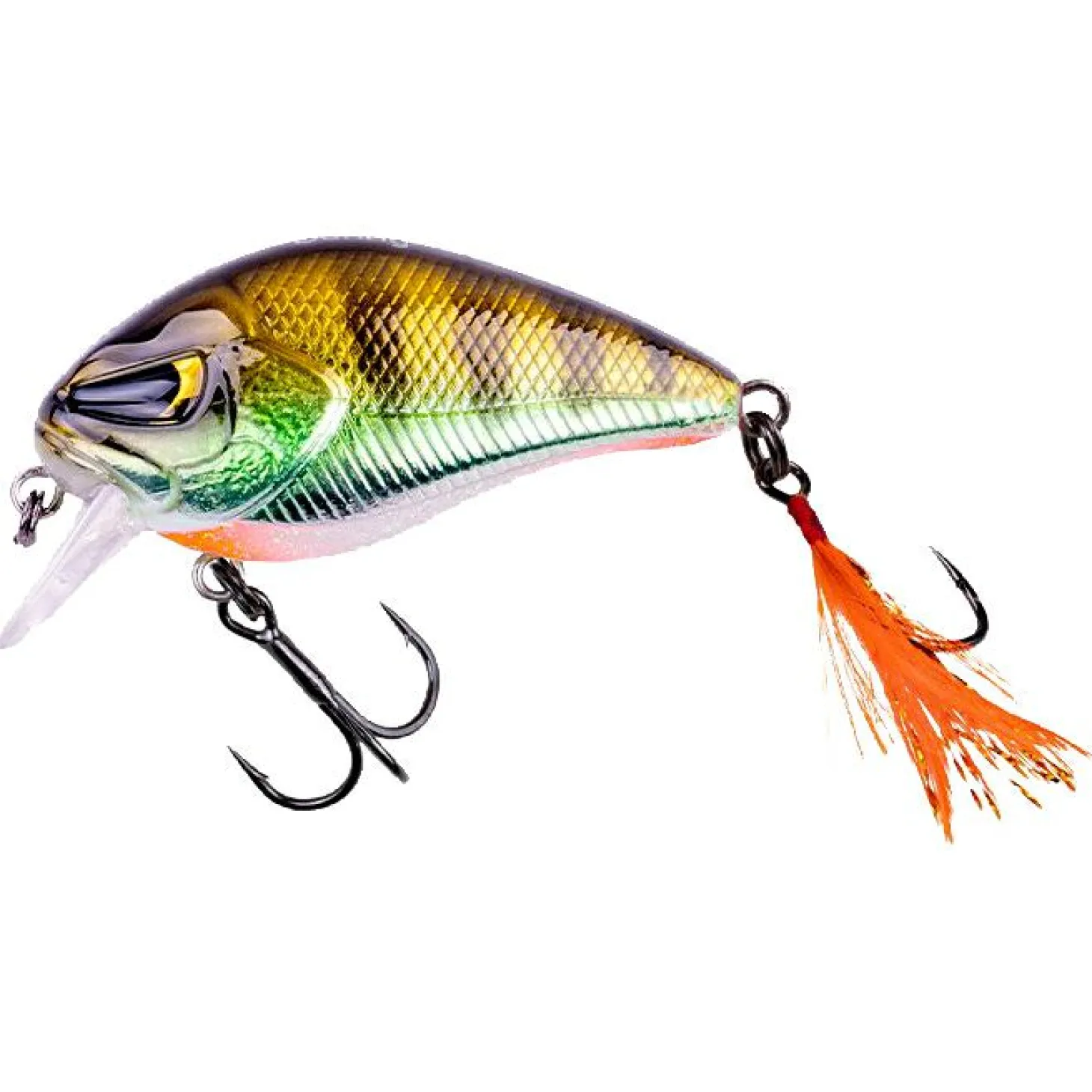 Zeck Danny (Glam Perch BA)