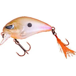 Zeck Danny (Wagasaki BA)