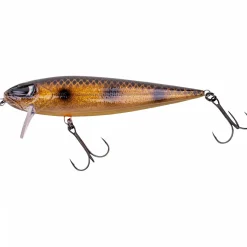 Zeck Dundee (Spotted Bullhead)