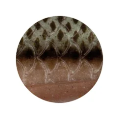 Zeck Zander Pelagi (Gürkchen)