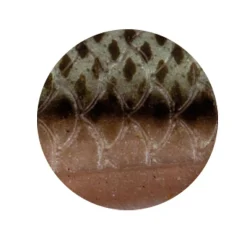 Zeck Zander Pelagi Set (Gürkchen)