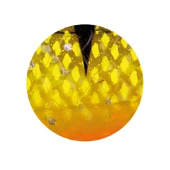 Zeck Zander Pelagi Set (Shock Perch)